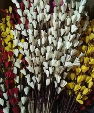 Natural dry flowers